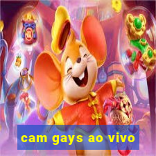 cam gays ao vivo